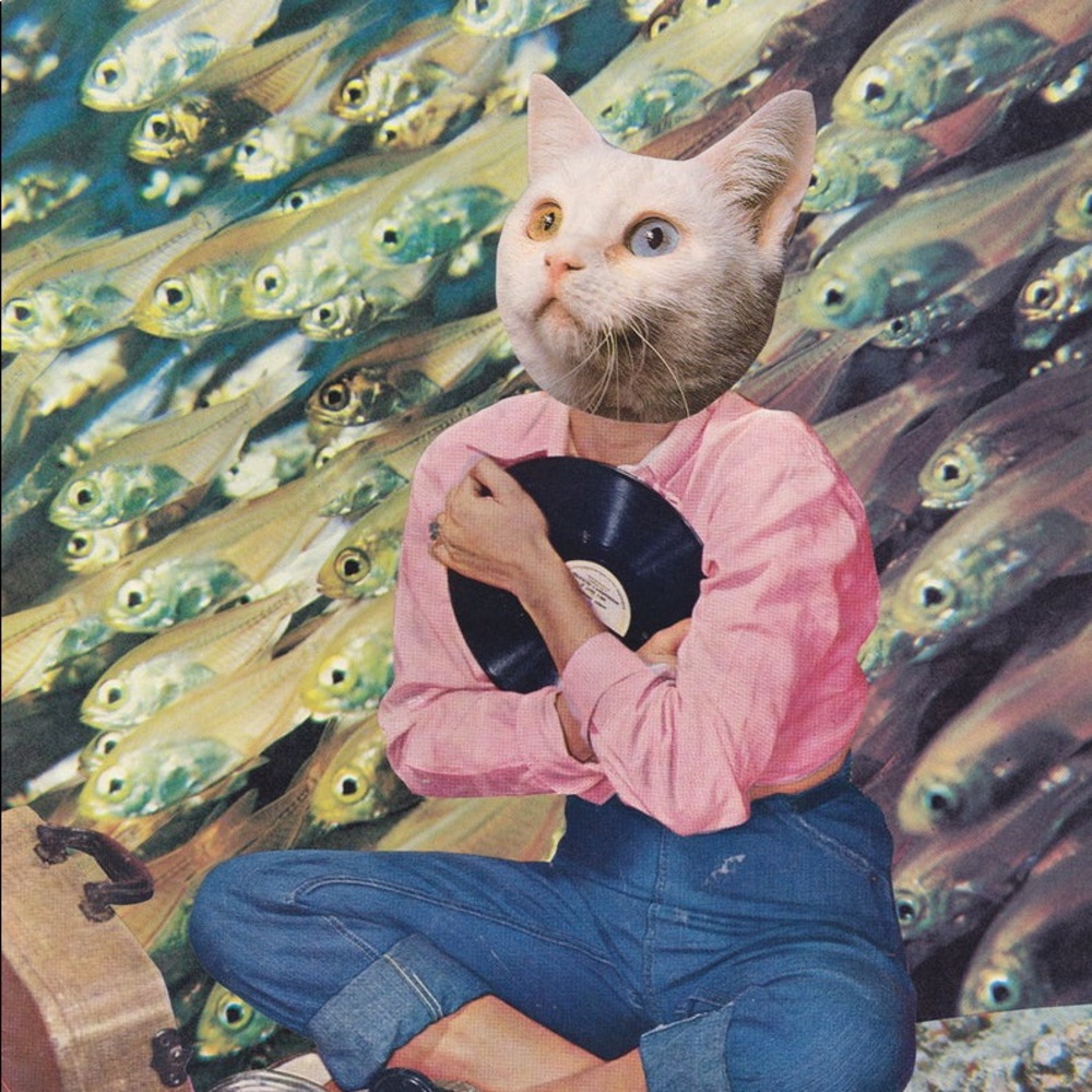 Meet your Posher, Nikki